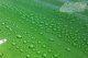 Jay Leno's Garage Spray Wax, 473ml